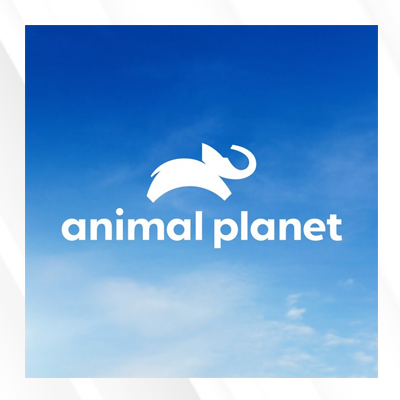 Animal Planet